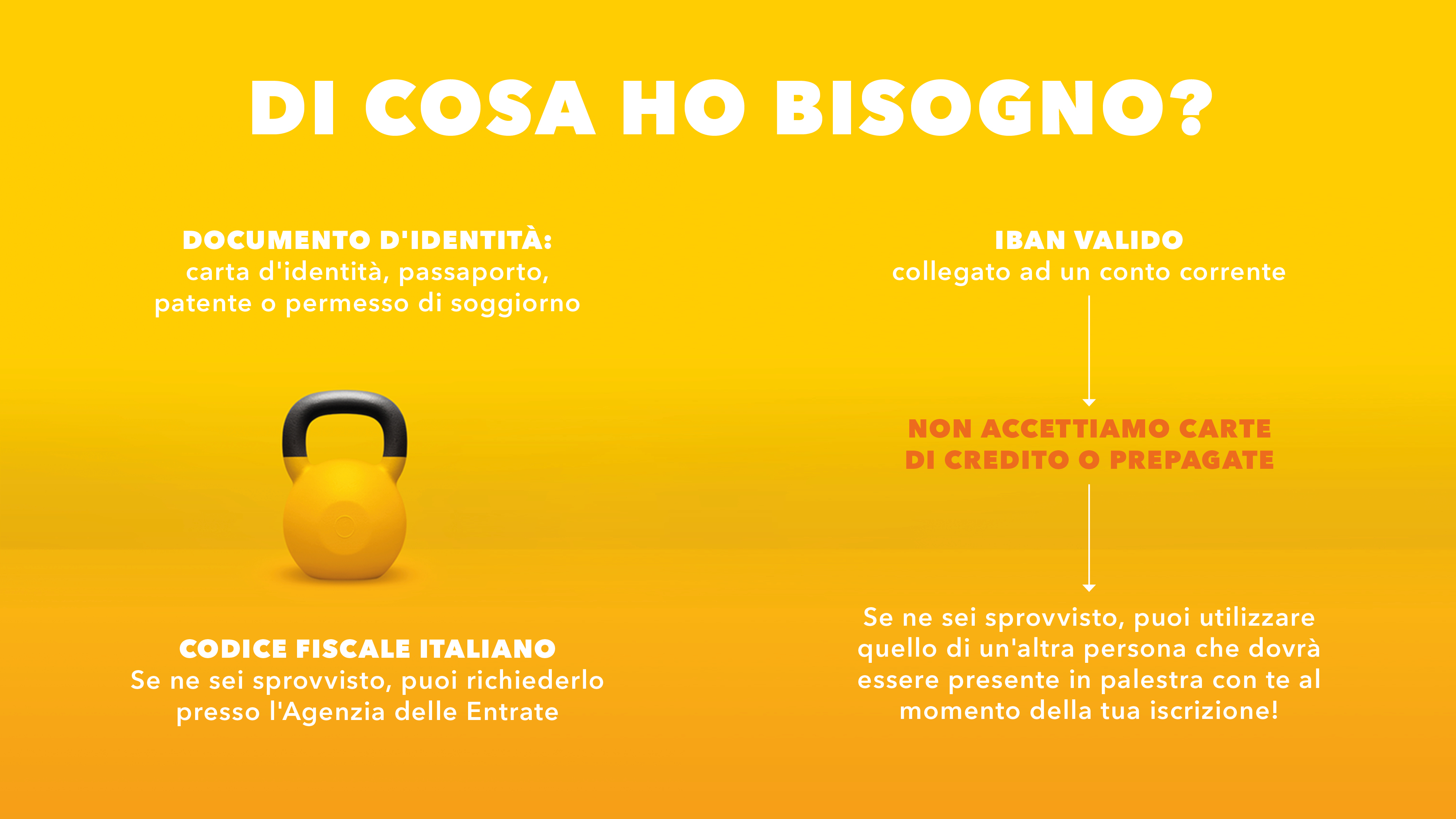McFIT_IT_Infografik_1920x1080_2408212[58].jpg